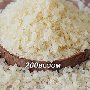 Gelatin powder 120-280 bloom 20mesh with High Quality